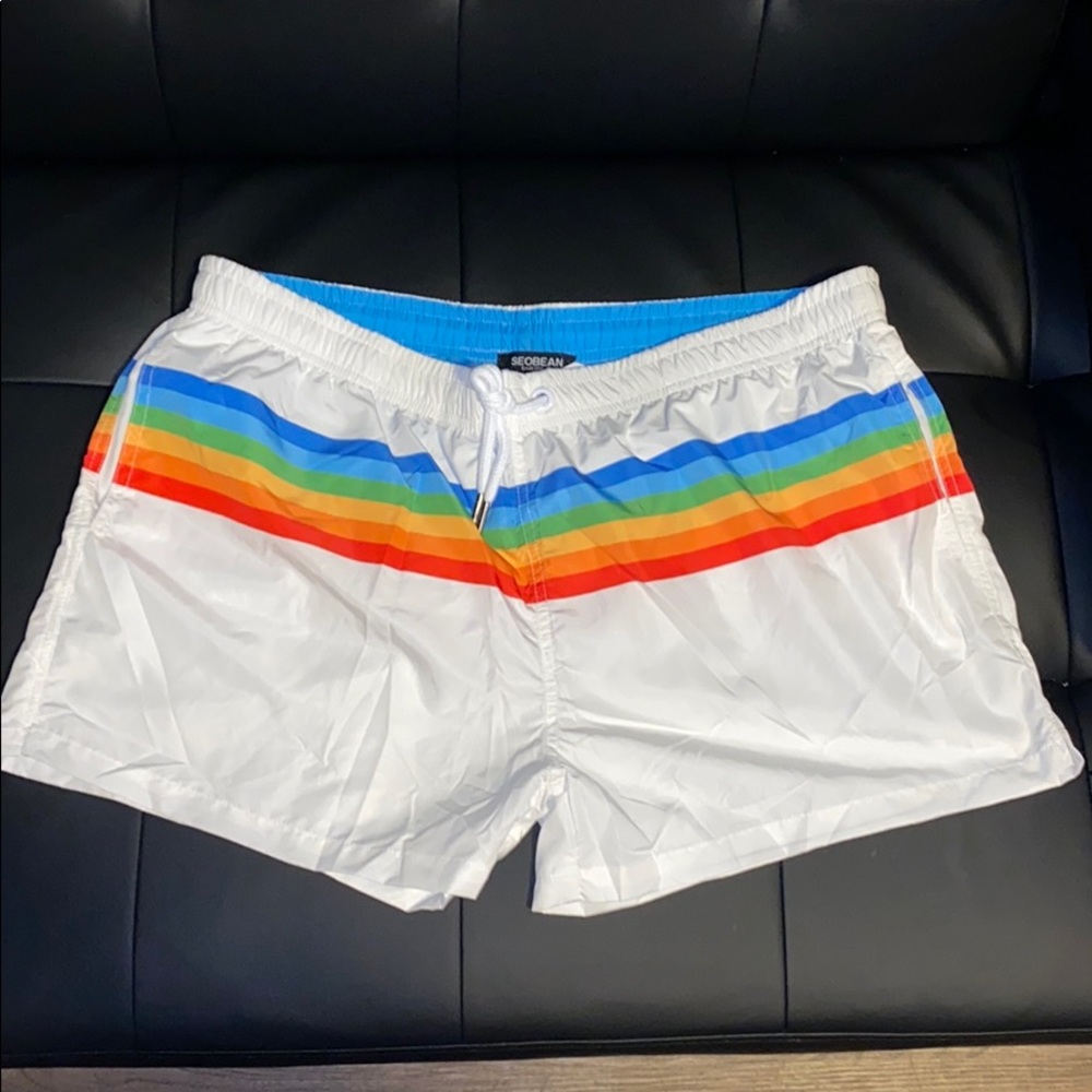 Rainbow Swim trunks